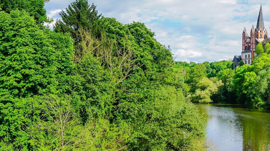 Panorama Limburger Dom