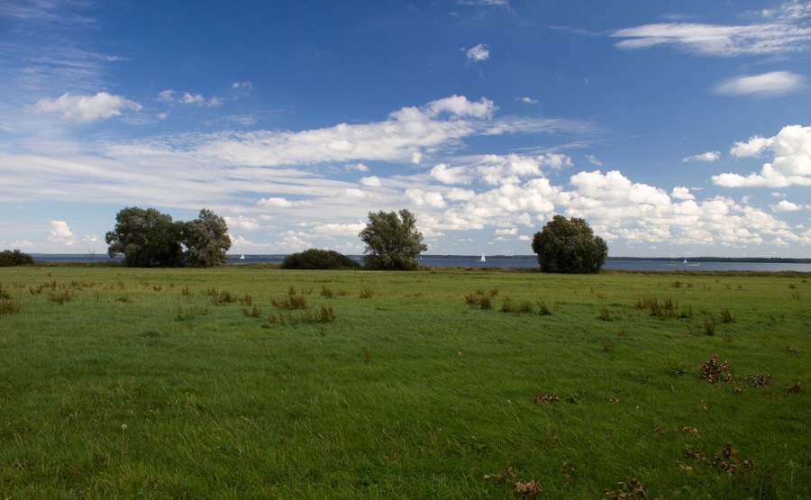 Am Ufer der Mürutz bei Ludorf