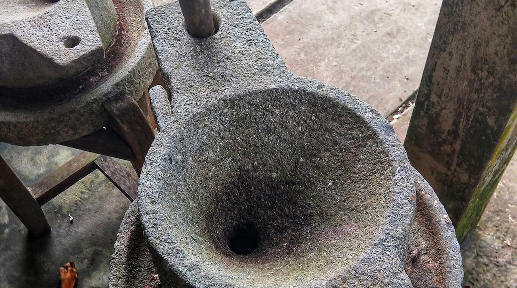 An old cacao mill on Unicorn Island on the Upper Mekong delta