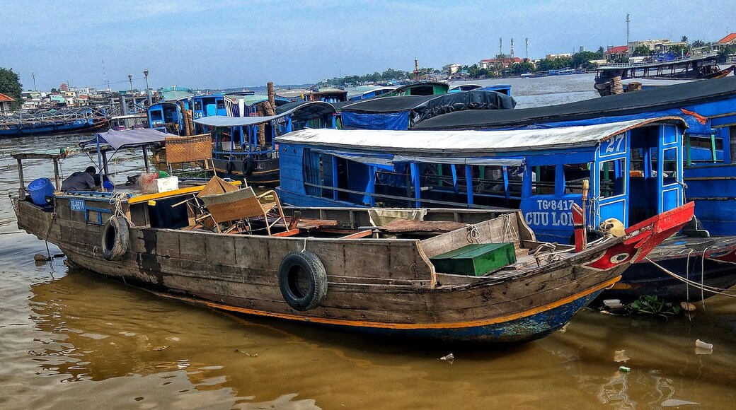 A couple of tourist ferries at rest on the Mekong