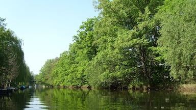 A calm river with dense green trees on both sides.
