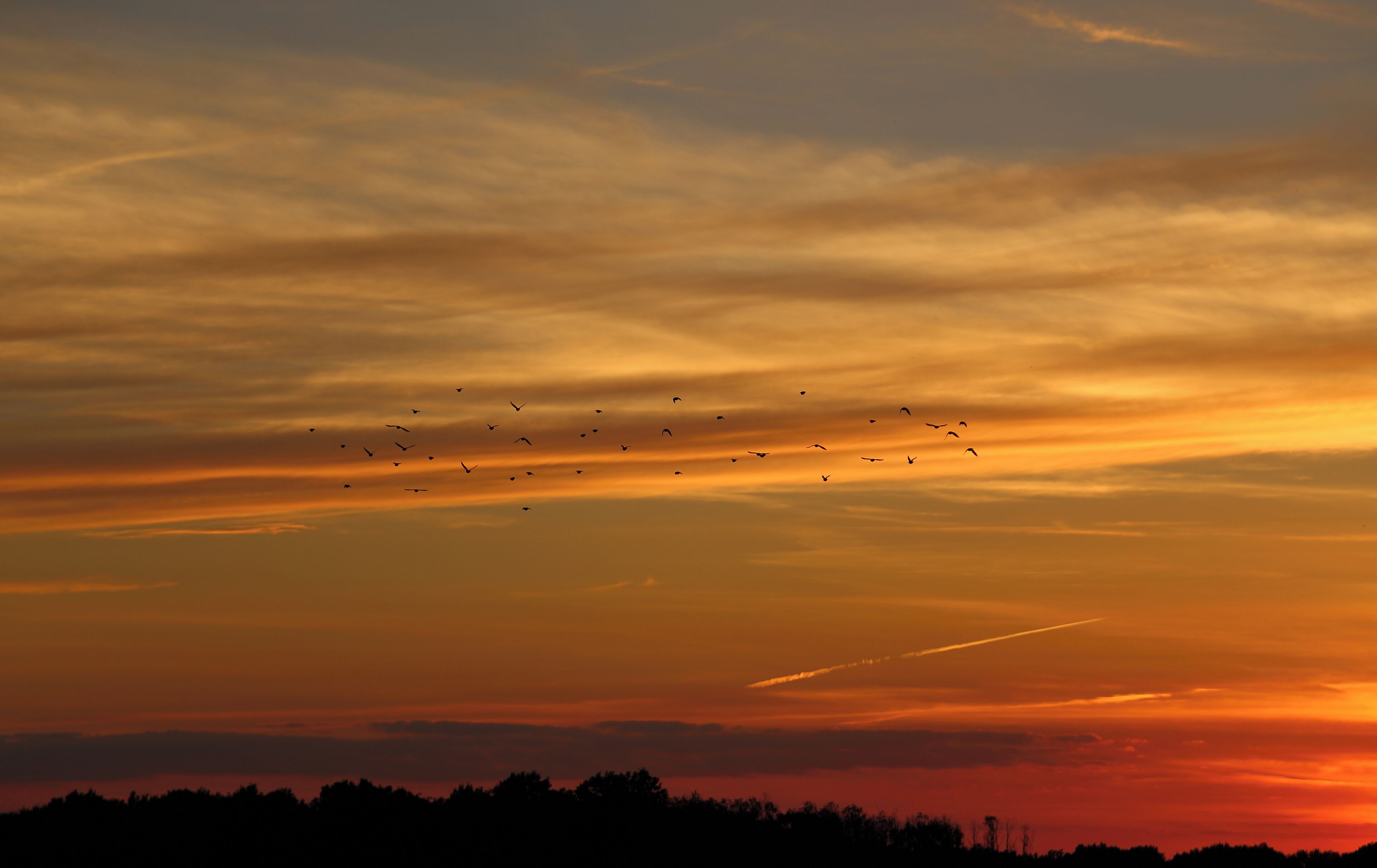 This is a picture of the protected area listed at WDPA under the ID