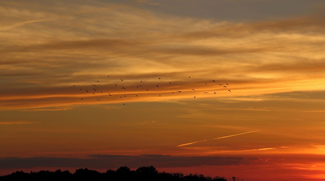 This is a picture of the protected area listed at WDPA under the ID