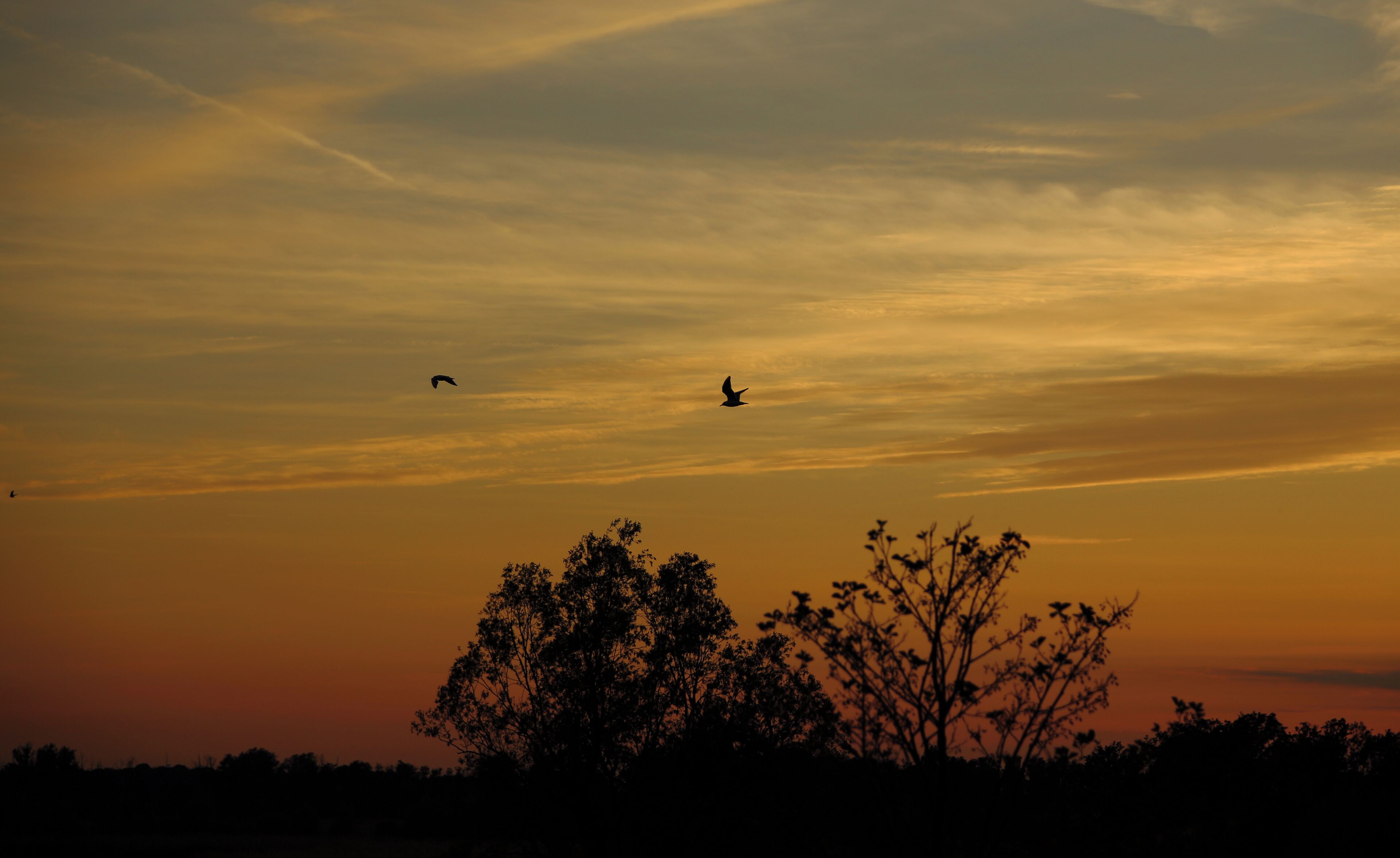 This is a picture of the protected area listed at WDPA under the ID