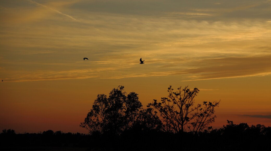 This is a picture of the protected area listed at WDPA under the ID