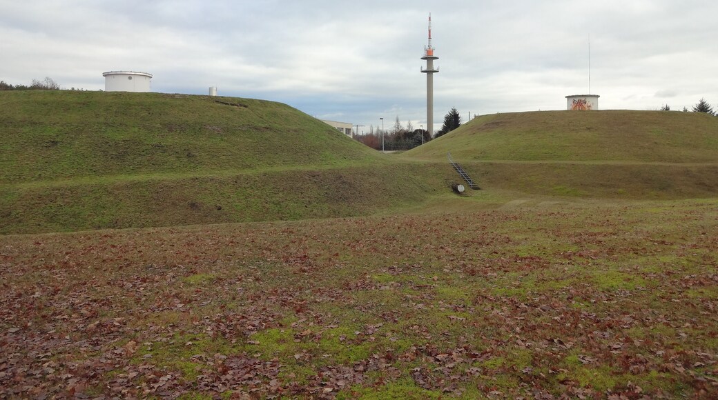 Gasspeicher in Senftenberg in der Klettwitzer Straße; im Hintergrund der Funkturm Senftenberg