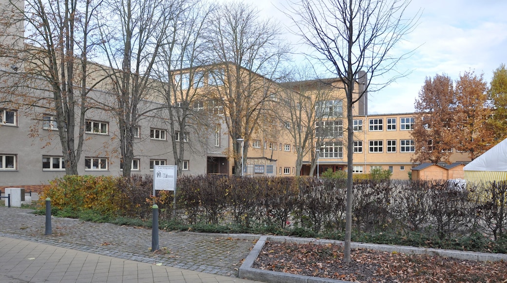 Senftenberg, Walther-Rathenau-Schule