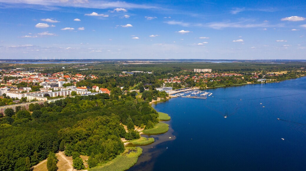 Beauty of nature in heights. aerial drone of Senftenberg lake, green forests. Senftenberg Lake Brandenburg Germany.