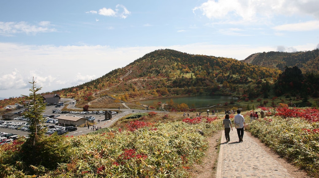 草津白根山火口展望台からの下り道。奥に弓池と逢ノ峰。