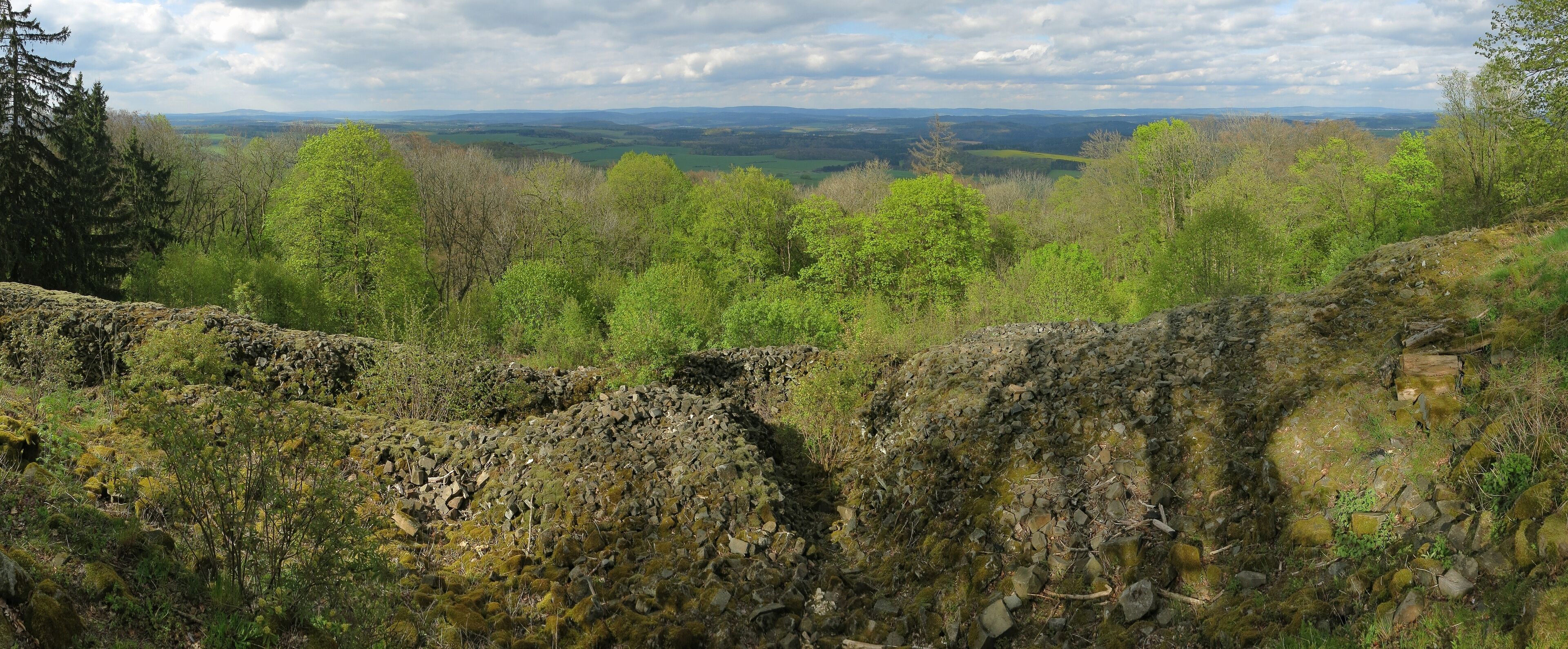 A rocky terrain with moss-covered stones and a forested valley in the background.
