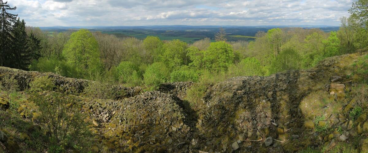 A rocky terrain with moss-covered stones and a forested valley in the background.