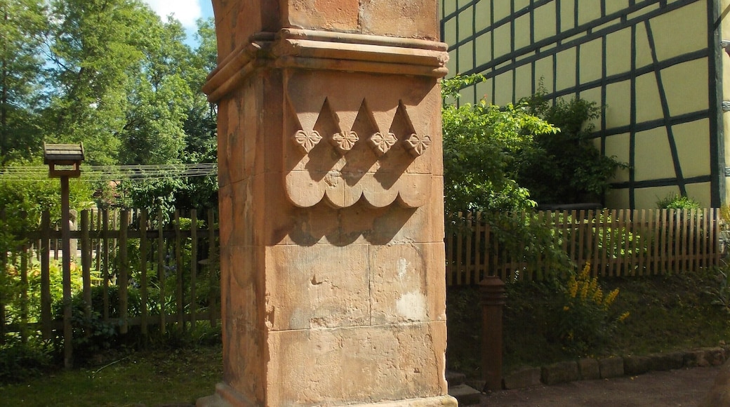 Ruins of the church of the Cistercian nunnery of Roda in Stadtroda (Saale-Holzland-Kreis, Thuringia)