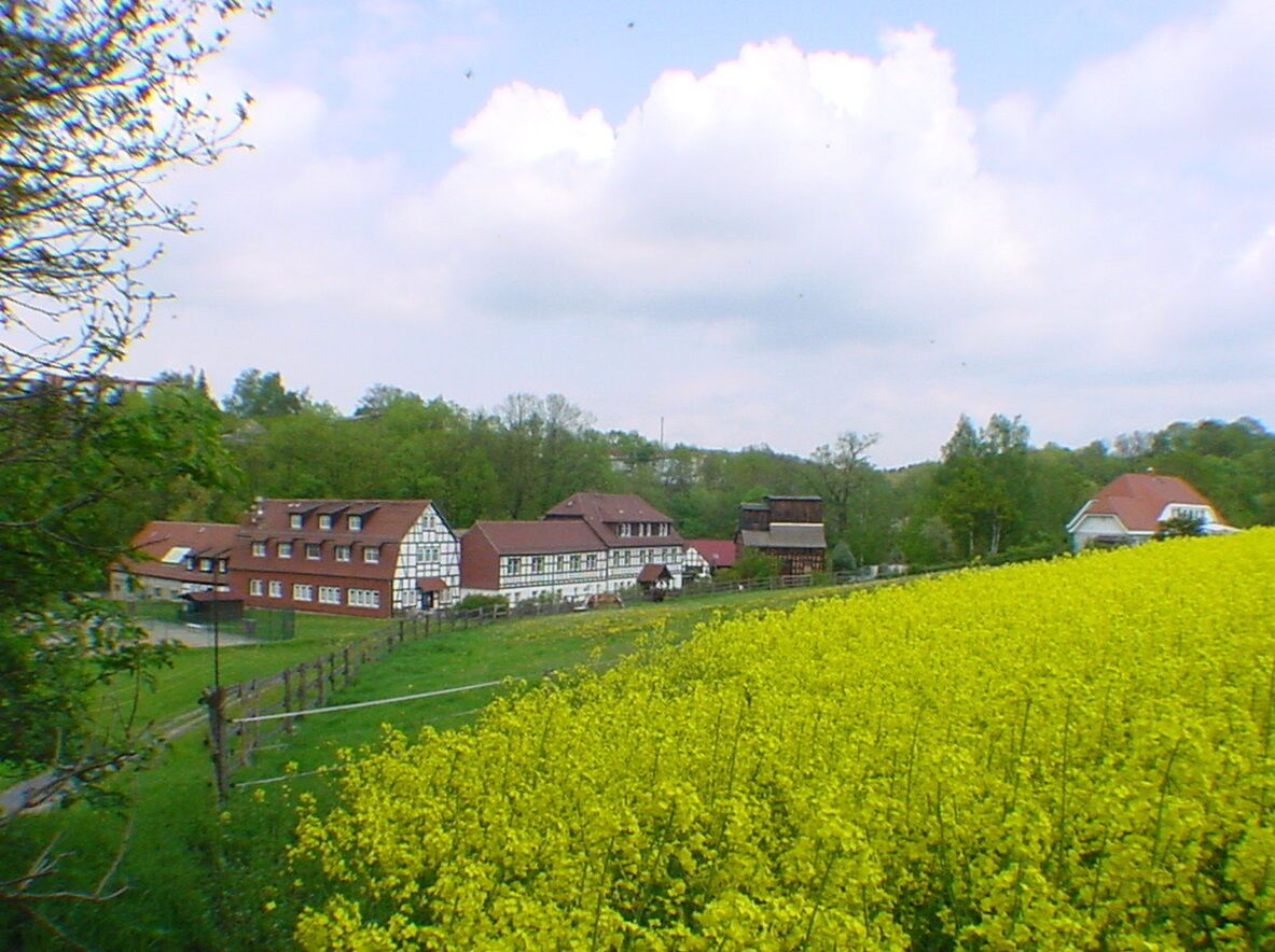 Rapsfelder vor der Hammermühle