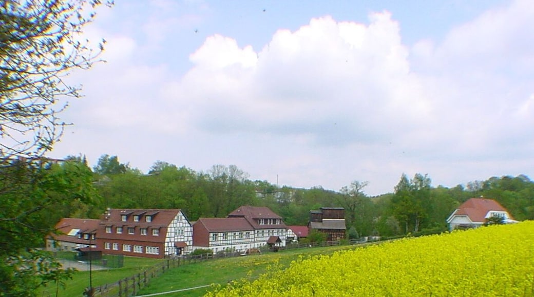 Rapsfelder vor der Hammermühle