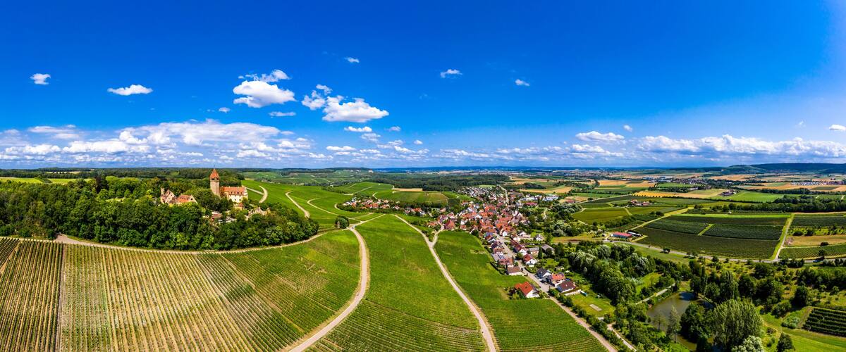 A rural landscape with vineyards, a small town, and a church.