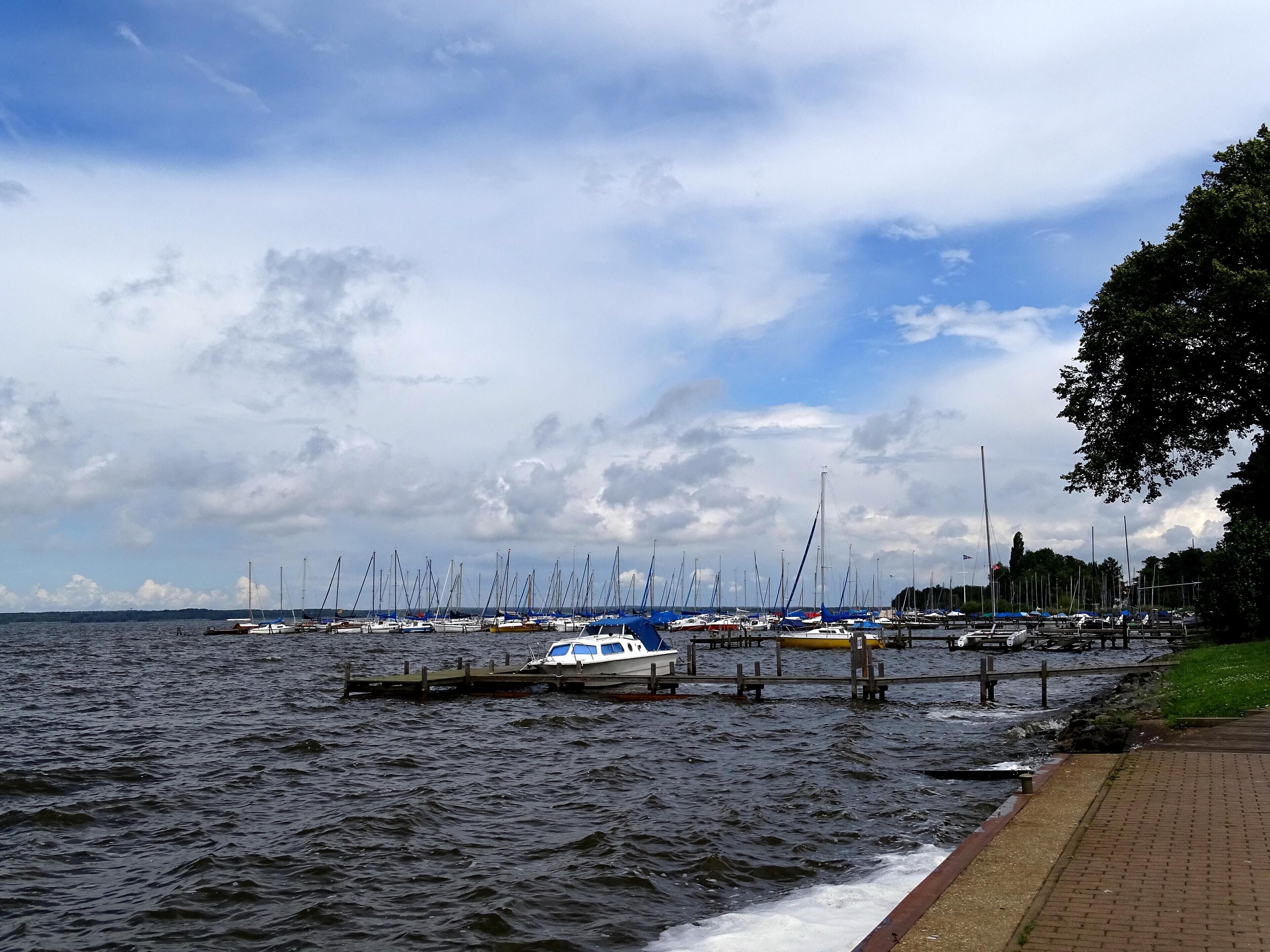 A marina with numerous sailboats docked along the waterfront.