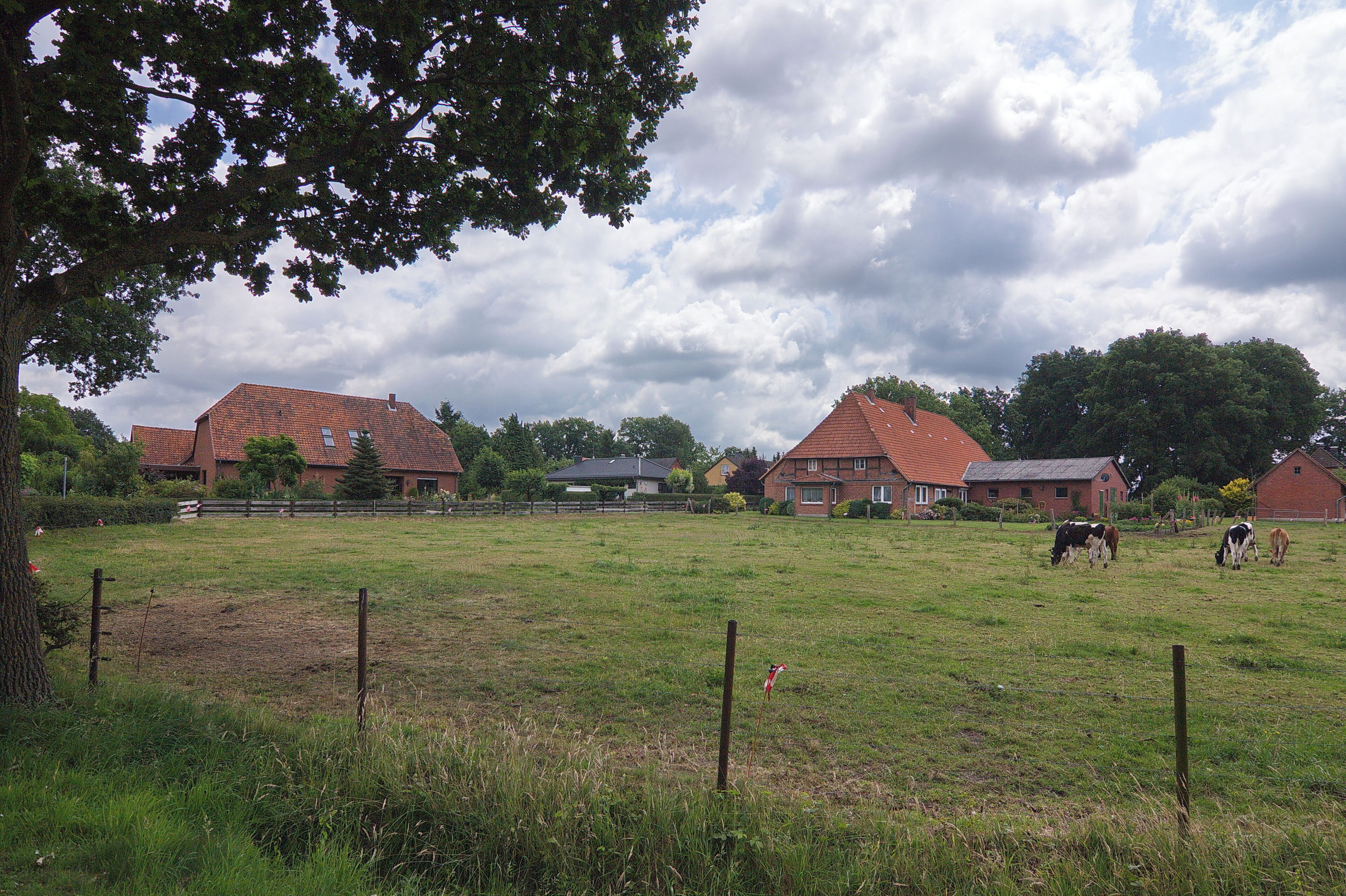 A rural landscape with a grassy field, a wooden fence, and several houses with red roofs.