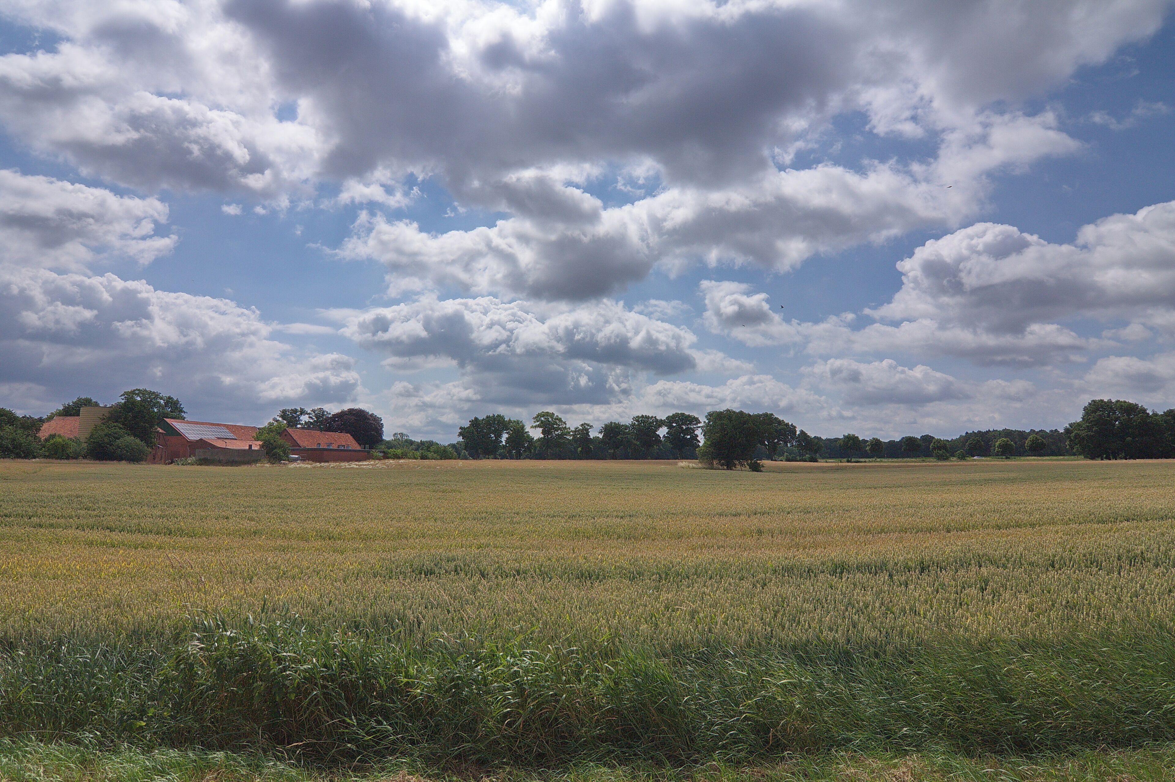LSG Untere Leine bei Averhoy (Neustadt am Rübenberge), Niedersachsen, Deutschland