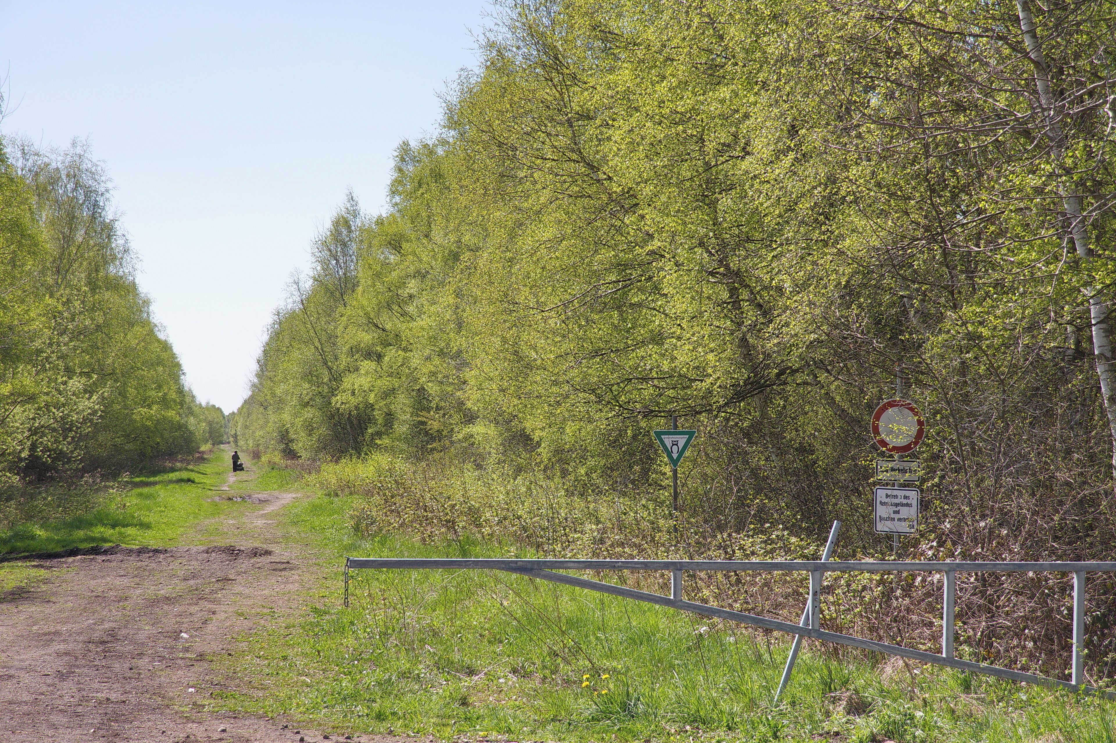 Totes Moor im LSG Schneerener Geest vor Neustadt am Rübenberg, Niedersachsen, Deutschland