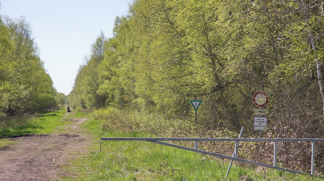 Totes Moor im LSG Schneerener Geest vor Neustadt am Rübenberg, Niedersachsen, Deutschland