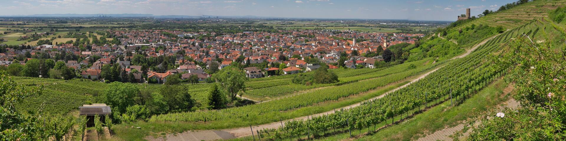 Schriesheim