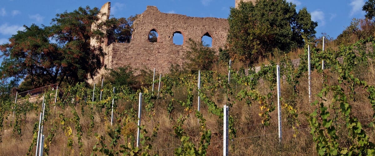 Strahlenburg, auch Schloss Strahlenberg, Burgruine in Schriesheim im Rhein-Neckar-Kreis