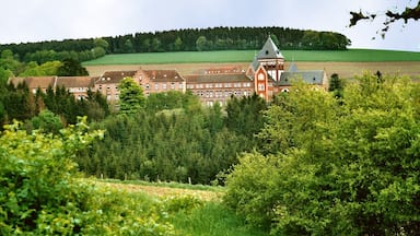 St. Wendel, view to Societas Verbi Divini