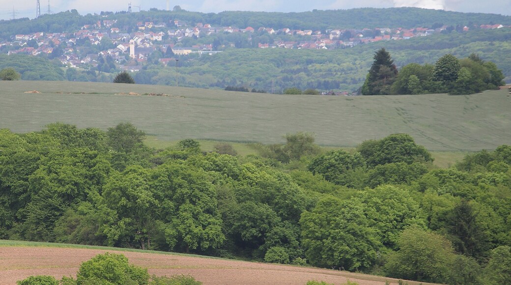 Köllerbach (Püttlingen), view to the village Holz