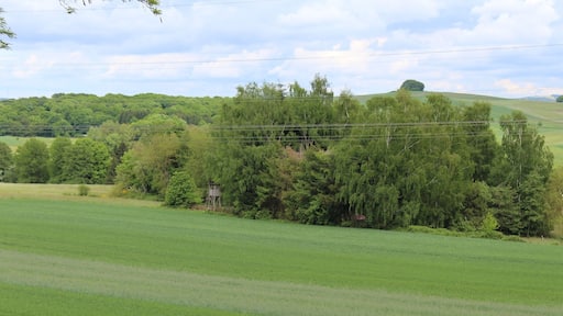 Köllerbach (Püttlingen), landscape eastern of the town