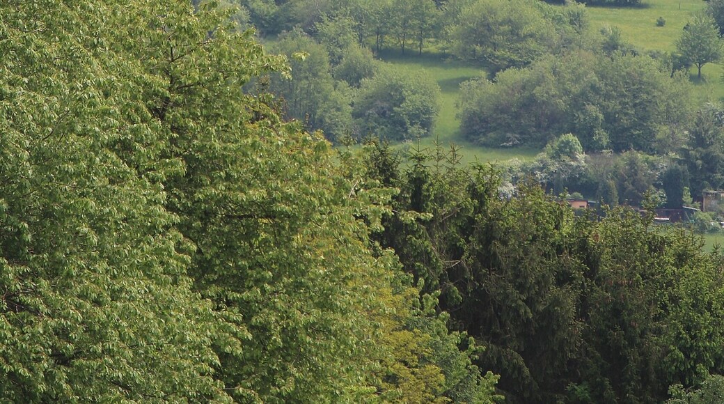Holz (Heusweiler), water tower and shaft