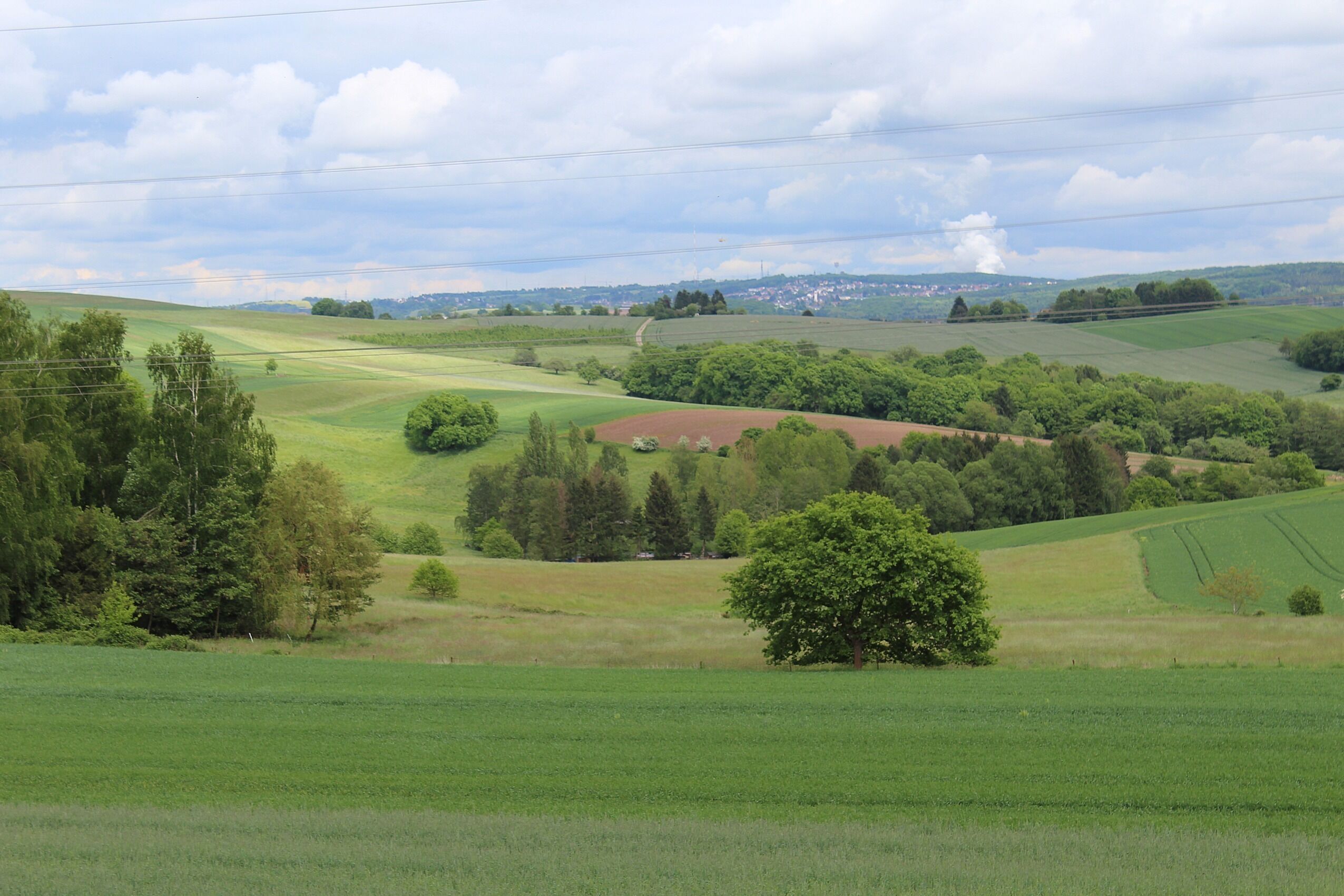 Köllerbach (Püttlingen), view to the village Holz