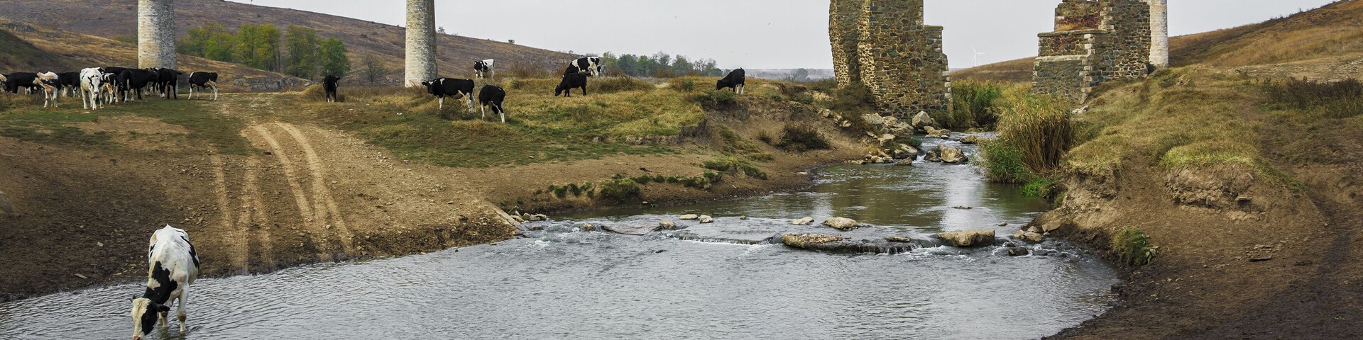 Un río con vacas pastando, un puente y ruinas de piedra.
