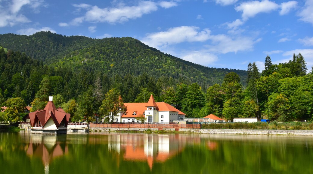 Lake house in Tusnad village resort, Covasna region - Romania