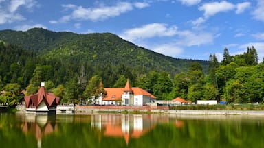 Lake house in Tusnad village resort, Covasna region - Romania