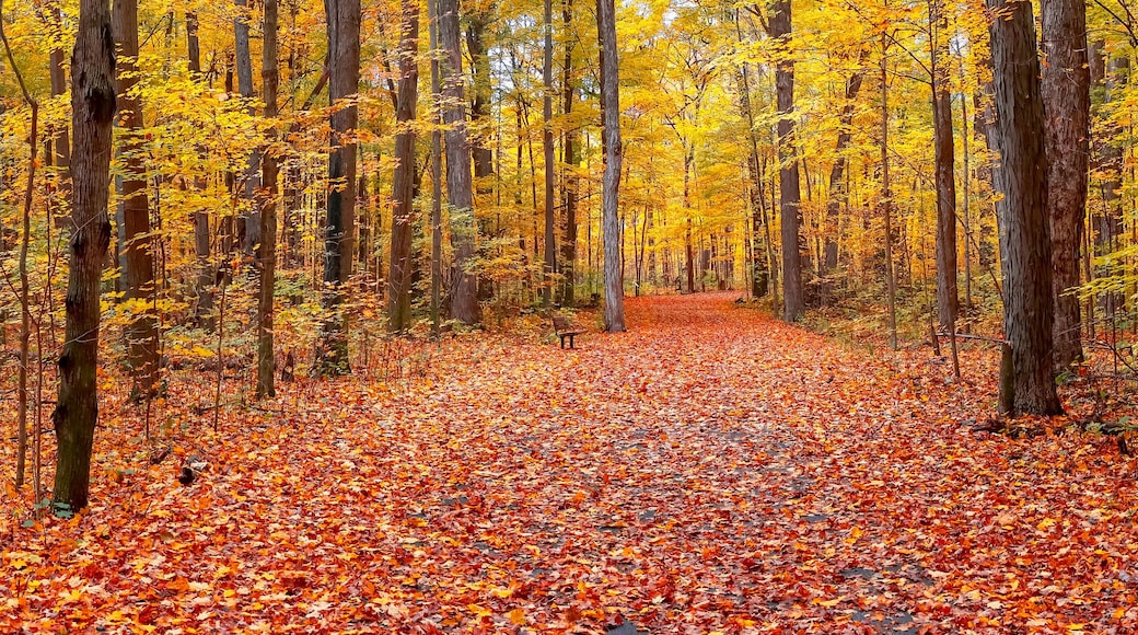 梅柏瑞州立公園