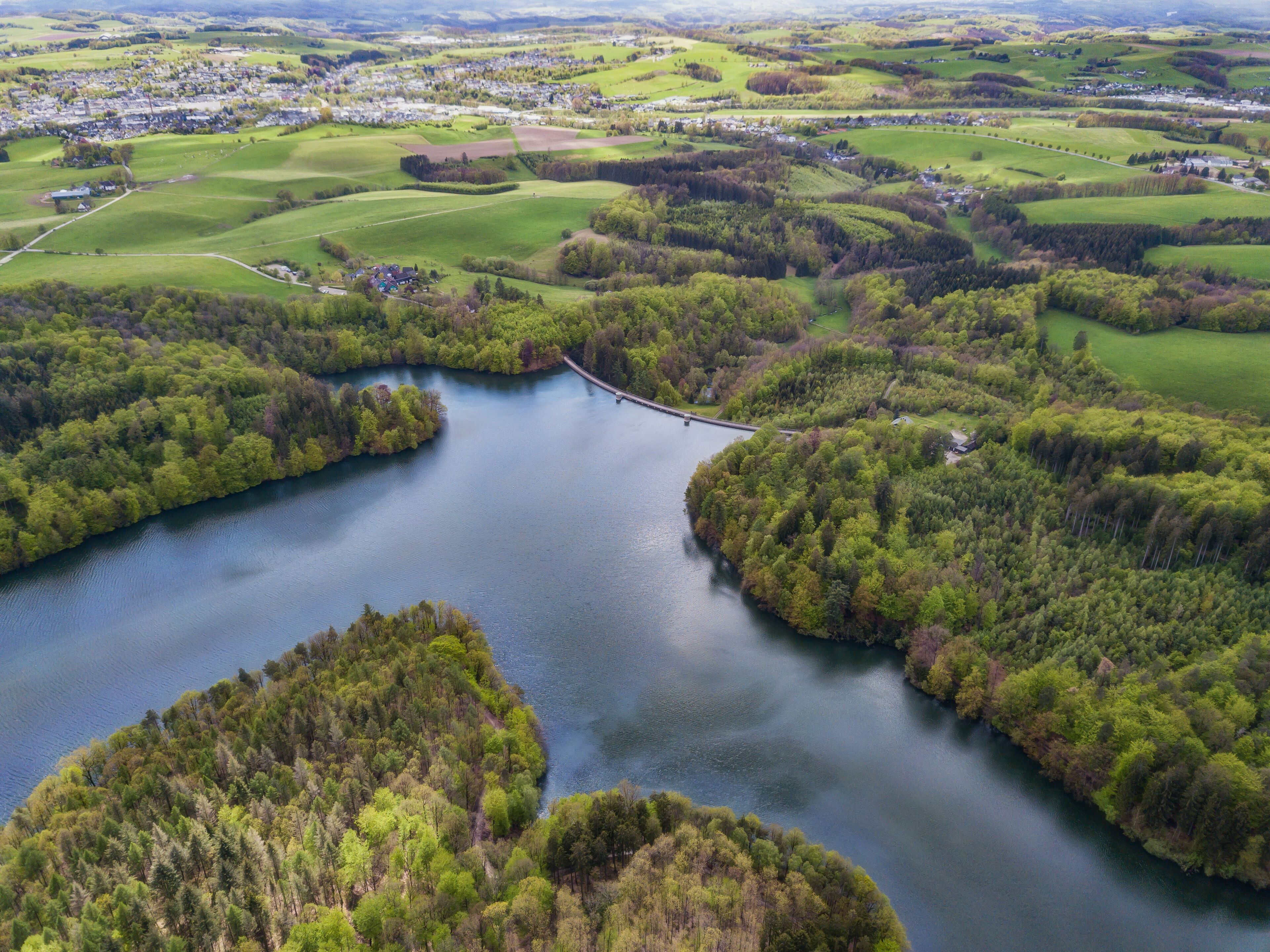 A river meandering through a densely wooded area with a bridge crossing over it.