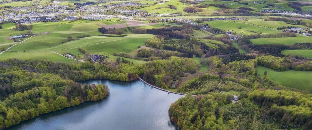 A river meandering through a densely wooded area with a bridge crossing over it.