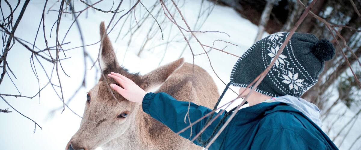 A person in winter clothing petting a deer in a snowy forest.