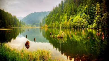 A calm lake surrounded by dense forest and hills.