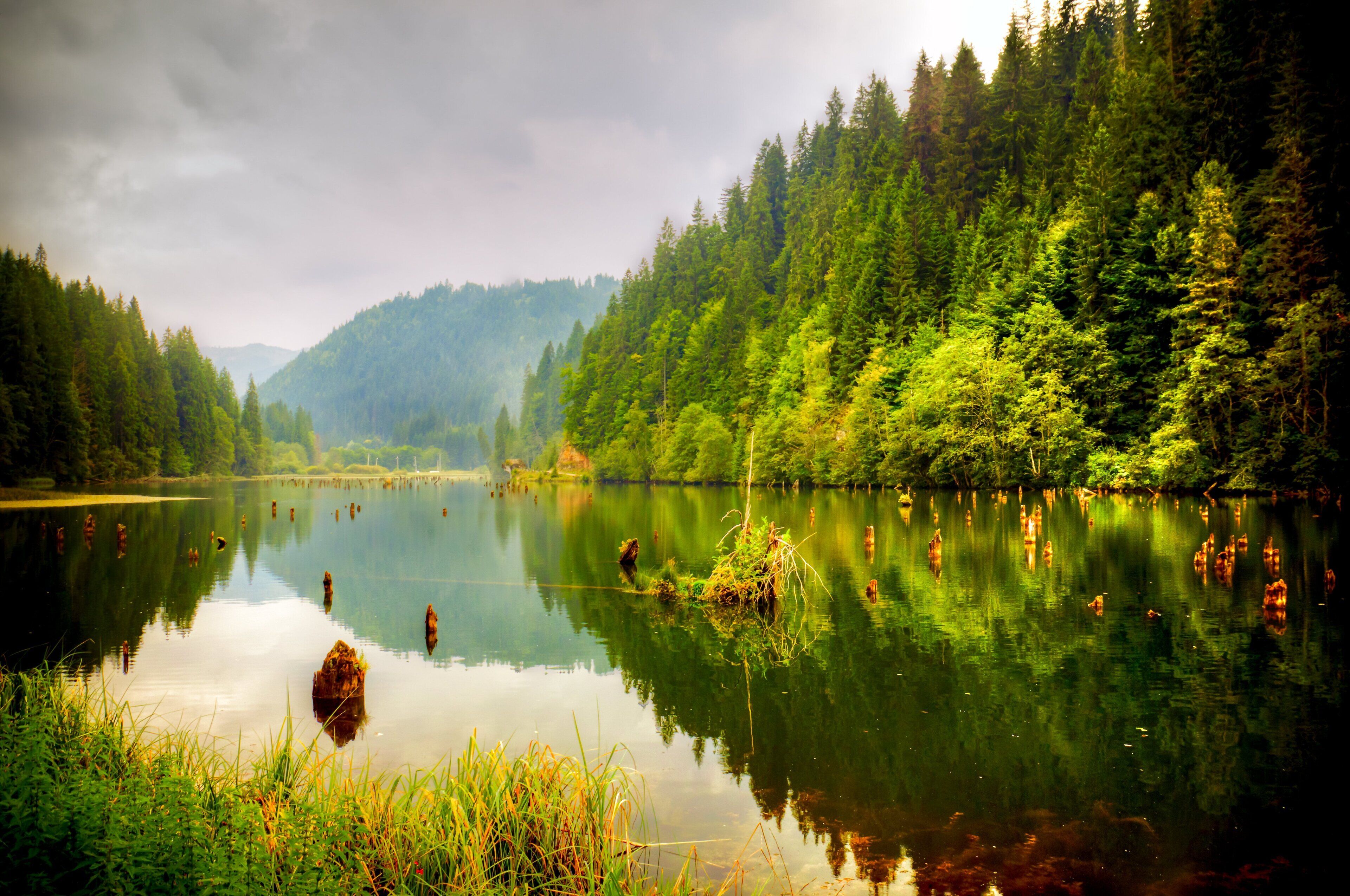A calm lake surrounded by dense forest and hills.