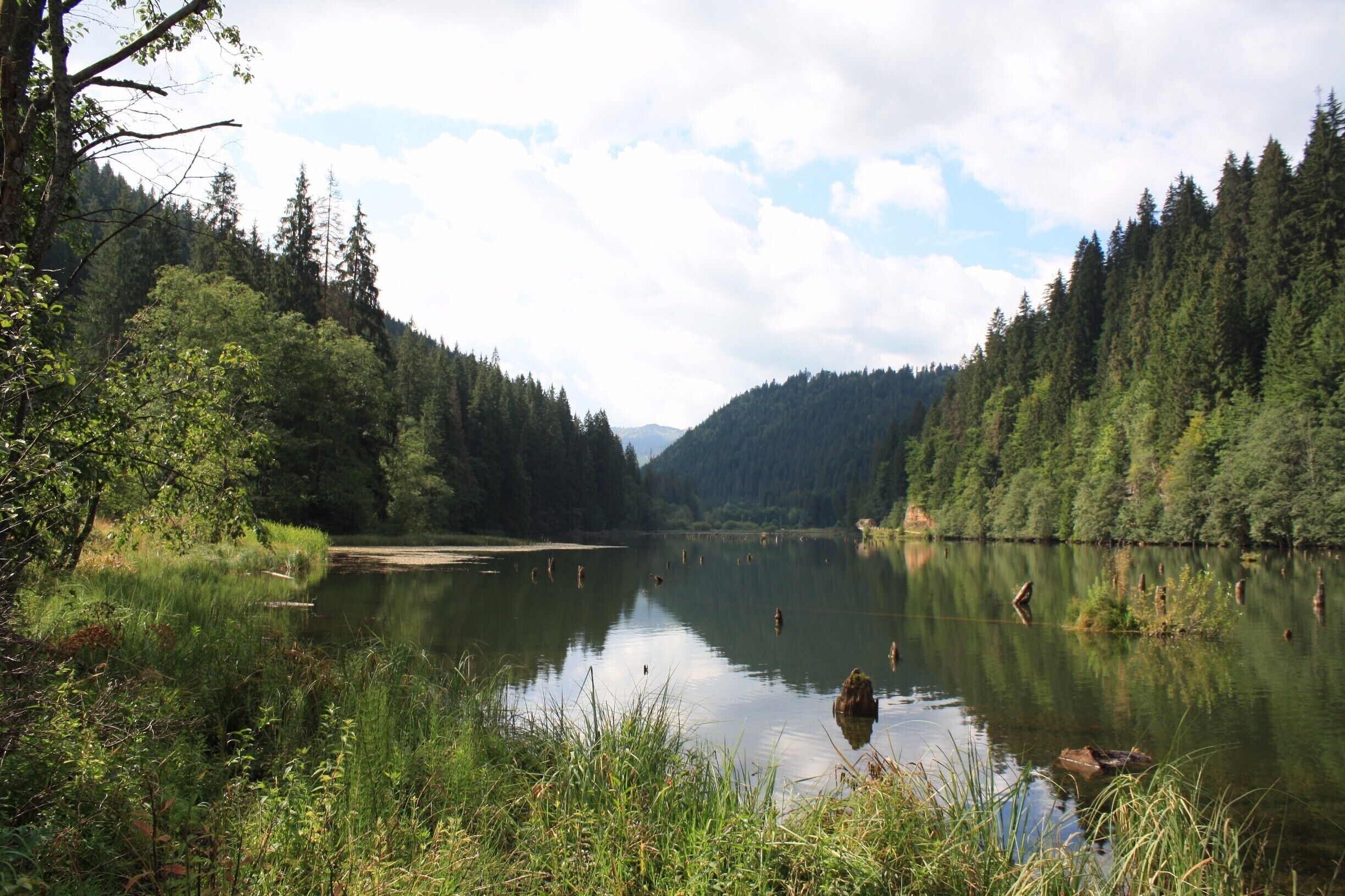 A calm lake surrounded by dense forest and mountains.