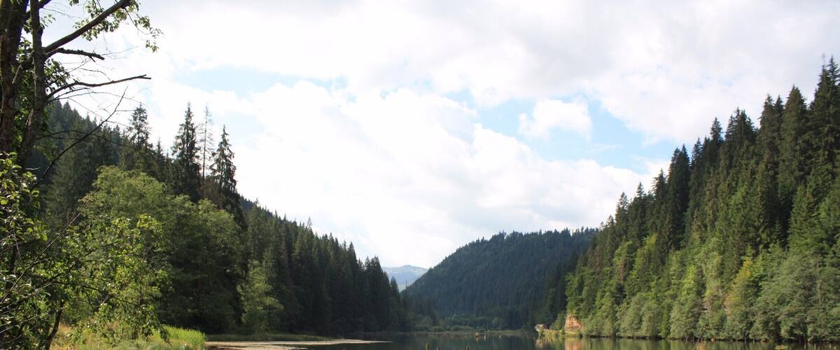 A calm lake surrounded by dense forest and mountains.