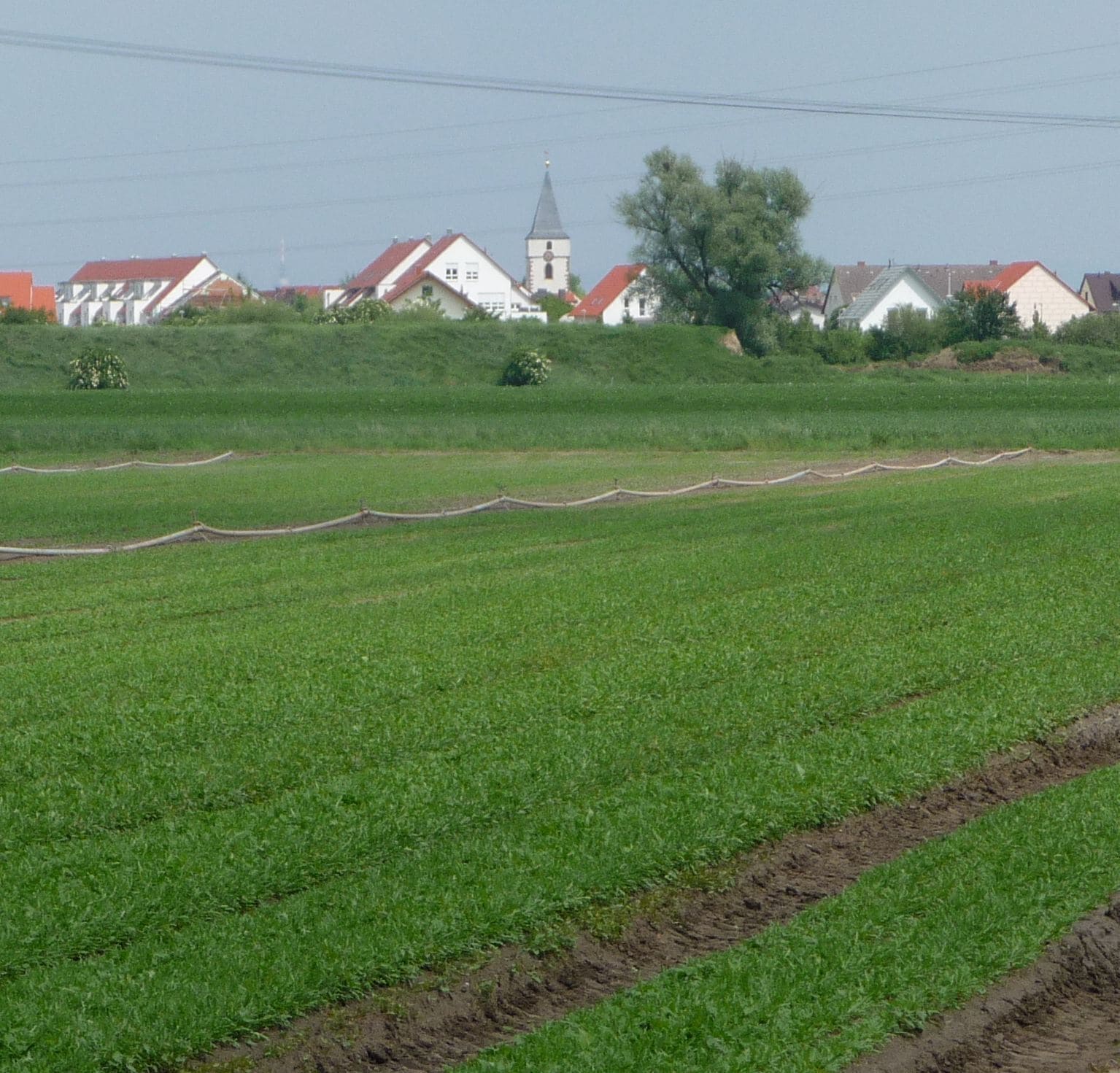 Protestantische Kirche