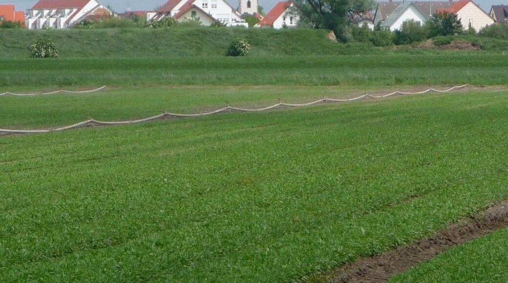 Protestantische Kirche