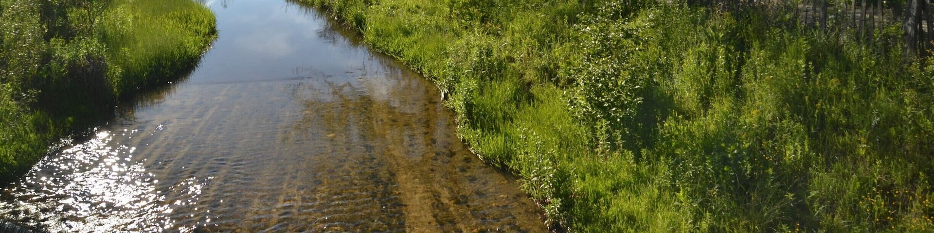 On a roadtrip in Romania in June 2016. The photo was taken somewhere close to the small village Hațeg I think. At least it is somewhere in the in the west part of Romania, on the roads between Drobeta-Turnu Severin and Deva. A region filled with scenery like this, mountains (some with snow), hills, forests, castles and farms.
Romania is such a diverse country. A country that should be on every travellers bucket list!