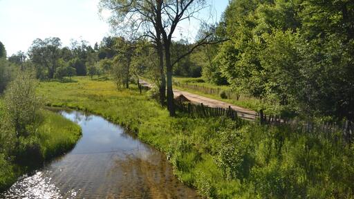 On a roadtrip in Romania in June 2016. The photo was taken somewhere close to the small village Hațeg I think. At least it is somewhere in the in the west part of Romania, on the roads between Drobeta-Turnu Severin and Deva. A region filled with scenery like this, mountains (some with snow), hills, forests, castles and farms.
Romania is such a diverse country. A country that should be on every travellers bucket list!