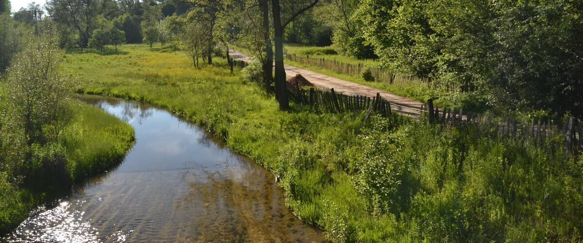 A rural landscape with a meandering stream, a wooden bridge, and lush greenery.