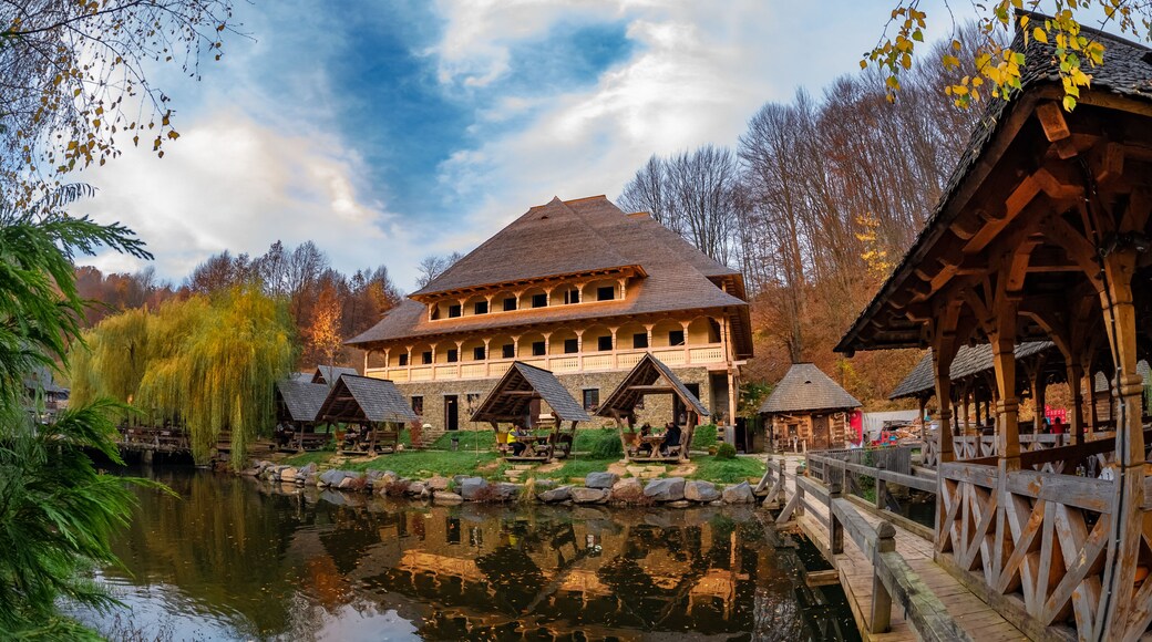 シゲトゥ マルマツィエイ