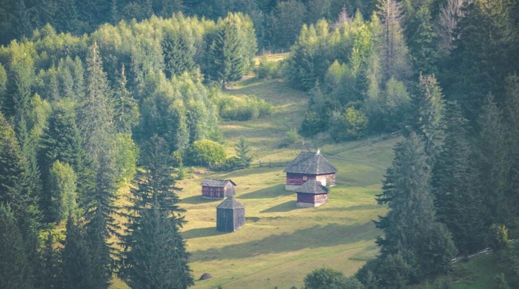 Wouldn't you want to live here as well? #aboveitall