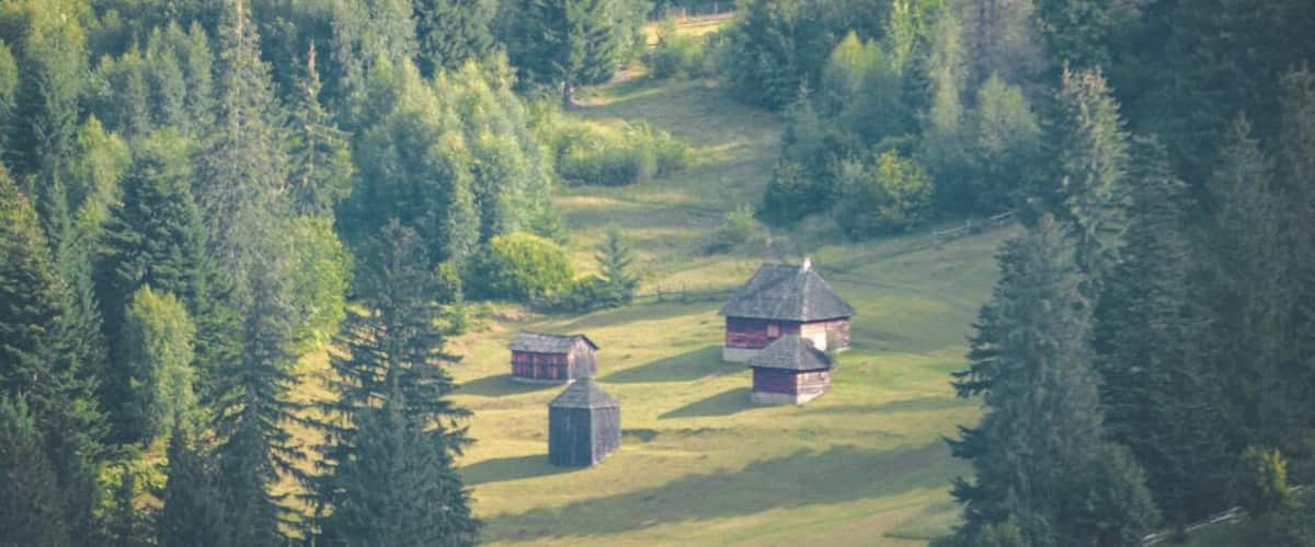 A rural landscape with a cluster of wooden buildings surrounded by dense forest.